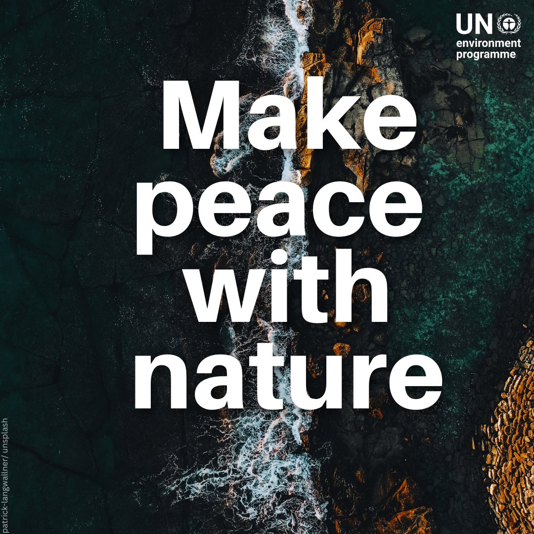 From the air we breathe, the water we drink, to the soil that grows our food – humanity’s health depends on nature.

International Day of Living Together in Peace is a reminder to reflect on this vital bond &amp; work towards making peace with nature: unep.org/topics/nature-…