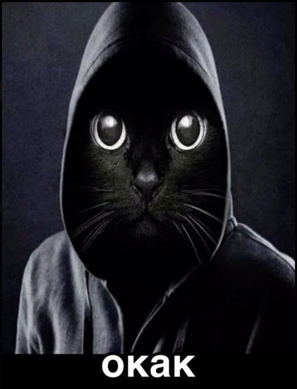 Когда он сказал, что пионы — это слишком дорого