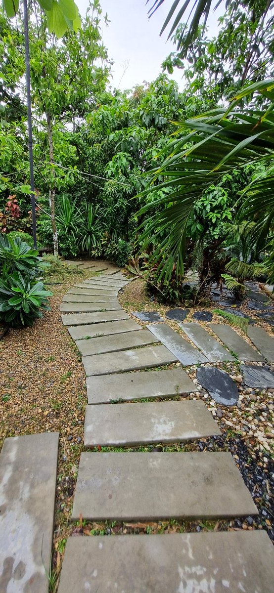 ทานข้าวดื่มแฟที่ร้านปทุมบุรี