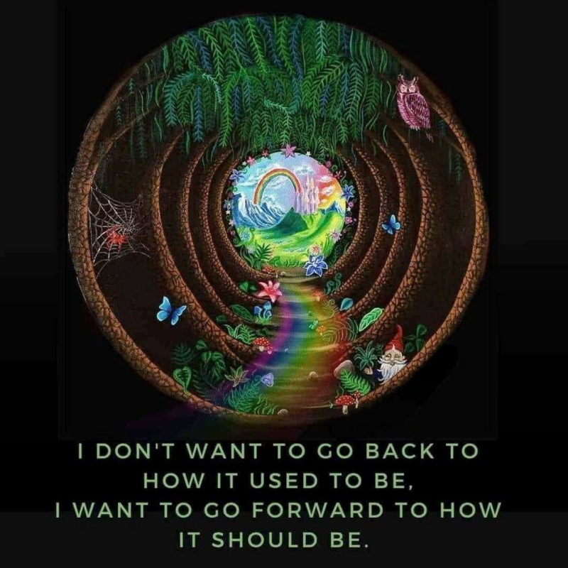 Mom2Many's tweet image. 