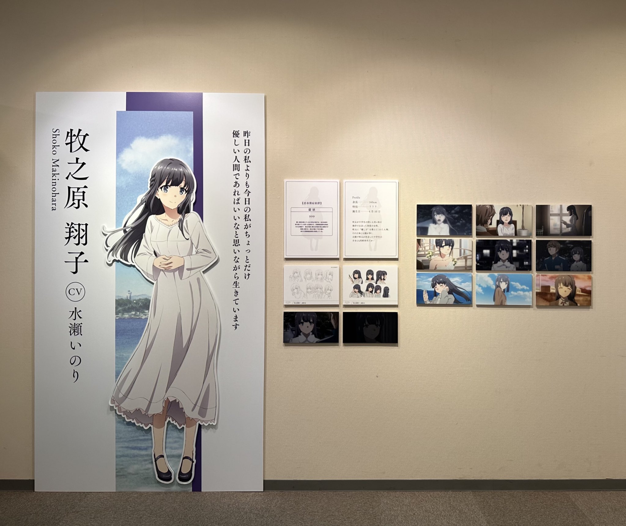 Yahoo!オークション - 【会場限定】『青春ブタ野郎はスクール