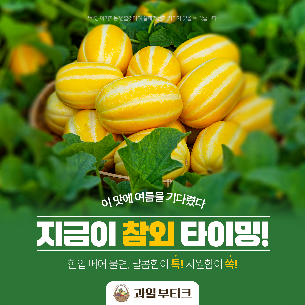📢 [특품] 고당도 성주참외 1KG 초특가 (9,400원)
산지 새벽 수확 > 전과수 비파괴 당도측정(15-18 Brix) > 세척 > UV살균 > 선별 발송

👏 N사 1등! 과일부티크 성주참외 초특가로 경험해보세요
⭐ 성주참외 1KG 9,400원
못난이(X) 특품(O)

mkt.shopping.naver.com/link/6822d90c4…

#참외 #성주참외 #과일선물