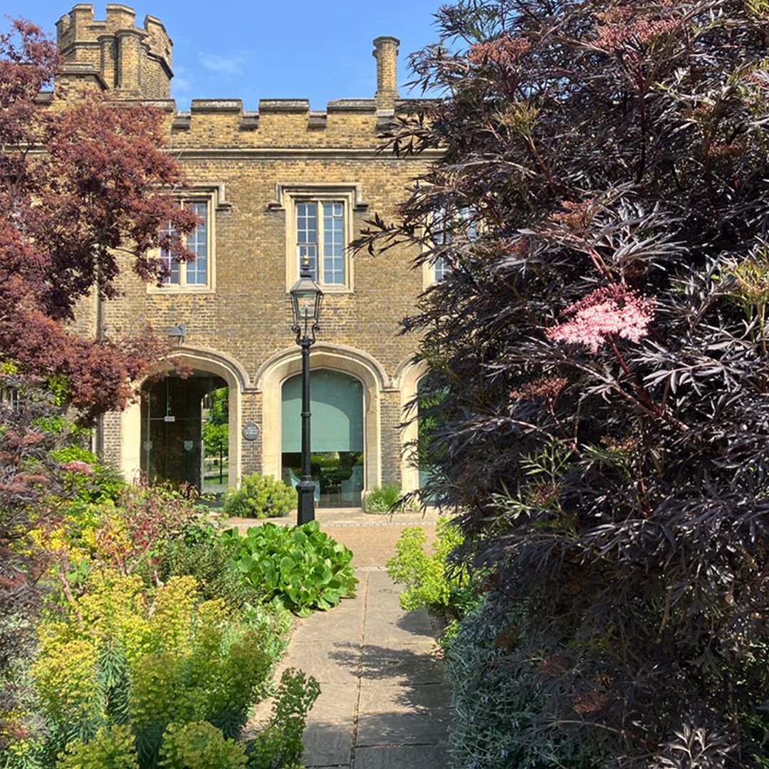 CharterhouseEC1's tweet image. Sharing some pics by our Garden team and resident Tim with a bit of a purplish theme!

#SpringDays #NatureLovers #NaturePhotography