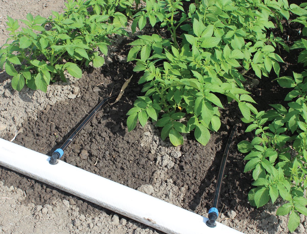 𝐍𝐢𝐞𝐮𝐰 𝐛𝐢𝐣 𝐍𝐞𝐭𝐚𝐟𝐢𝐦: 𝐅𝐥𝐞𝐱𝐍𝐞𝐭 𝐌𝐏-𝐏𝐏. Ontdek de voordelen van deze flexibele, lichtgewicht verdeelleiding met lagere druk voor akkerbouwgewassen. Perfect in combinatie met lekvrije PE-connectoren en makkelijke installatie. bit.ly/44CqnUN