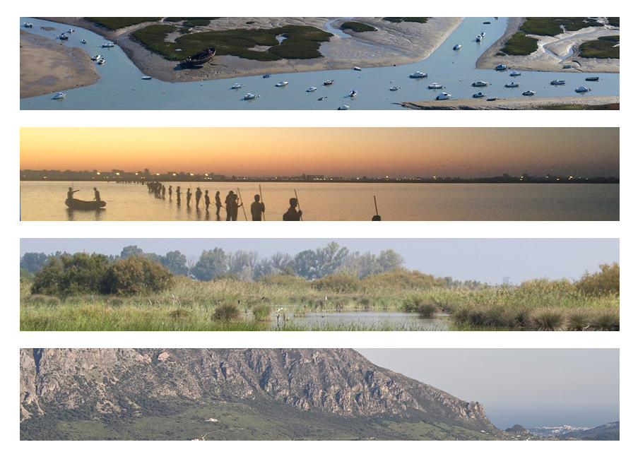 REDIAM_Oficial's tweet photo. 🦋🌼¿Sabías que #Andalucía cuenta con más de 30 parajes naturales?
Estos espacios albergan una gran diversidad de #flora y #fauna, así como paisajes únicos.
¡Descubre los #ParajesNaturales de Andalucía!
👉 https://t.co/yVnQ0P4rQg https://t.co/ZgnXziYovG