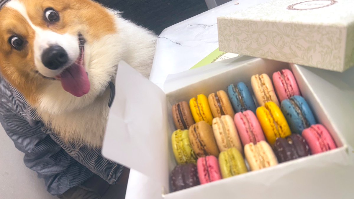 パパがフランスで買ってきてくれたマカロン