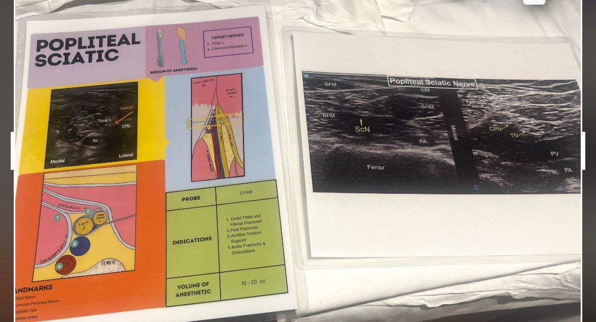 Rachel Levene Kubie tweet media