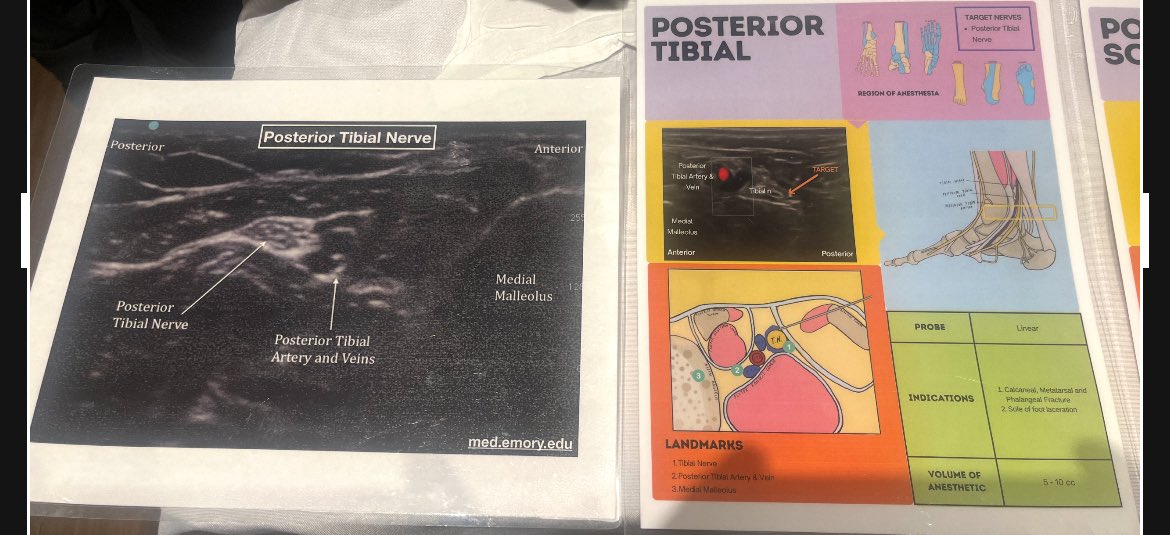 Rachel Levene Kubie tweet media