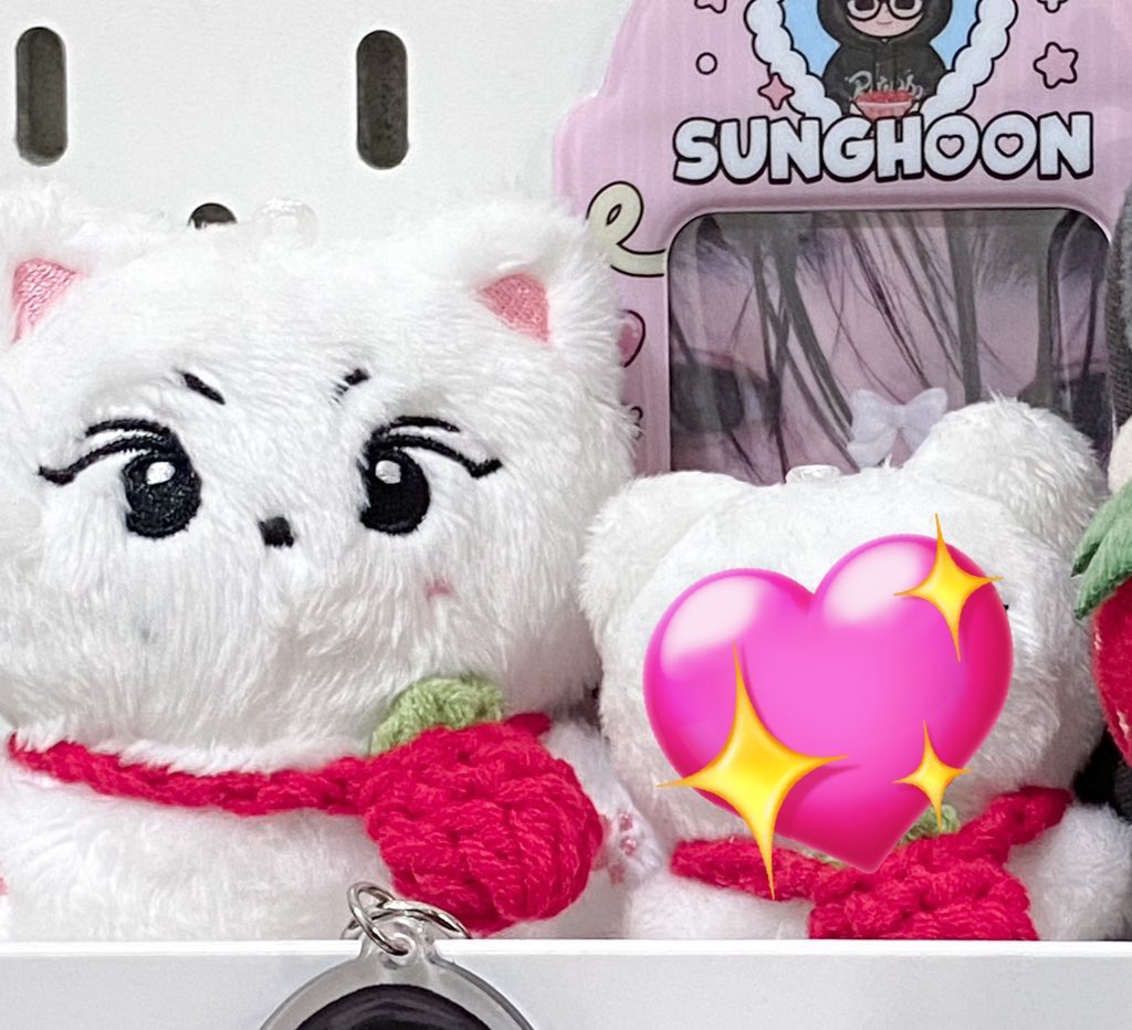 wonienhoonly's tweet photo. ꒰🛒꒱ wts lfb ph pasalo

10cm Yangkkomi 🤍🎀 
 
₱850 | ₱780 last price

♡ on hand, strictly payo
♡ free 1 random jungwon album poca
♡ x sensi, washed twice
♡ x rush shipping 

⭐️ – reply or dm “mine to claim” https://t.co/f6ufQCu3m2