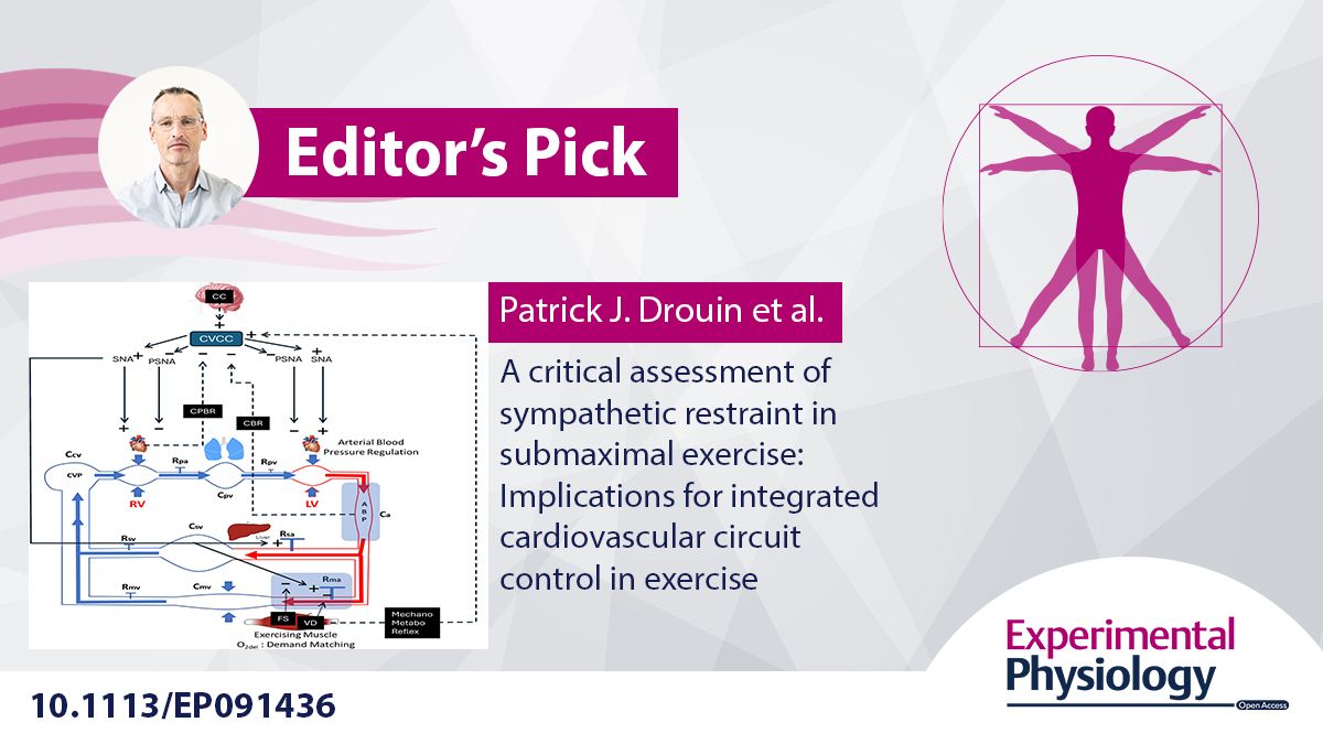 Experimental Physiology (@expphysiol) on Twitter photo 🎓EDITOR'S PICK🎓
Patrick J. Drouin (<a href="/QueensUHealth/">Queen's Health Sciences</a>) et al. provide a critical assessment of sympathetic restraint in submaximal exercise, and outlay the implications for integrated #cardiovascular circuit control in #exercise!
buff.ly/ZP3nHR7 🎓EDITOR'S PICK🎓
Patrick J. Drouin (<a href="/QueensUHealth/">Queen's Health Sciences</a>) et al. provide a critical assessment of sympathetic restraint in submaximal exercise, and outlay the implications for integrated #cardiovascular circuit control in #exercise!
buff.ly/ZP3nHR7