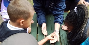 Shortstown Primary tweet media