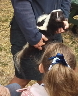 Shortstown Primary tweet media