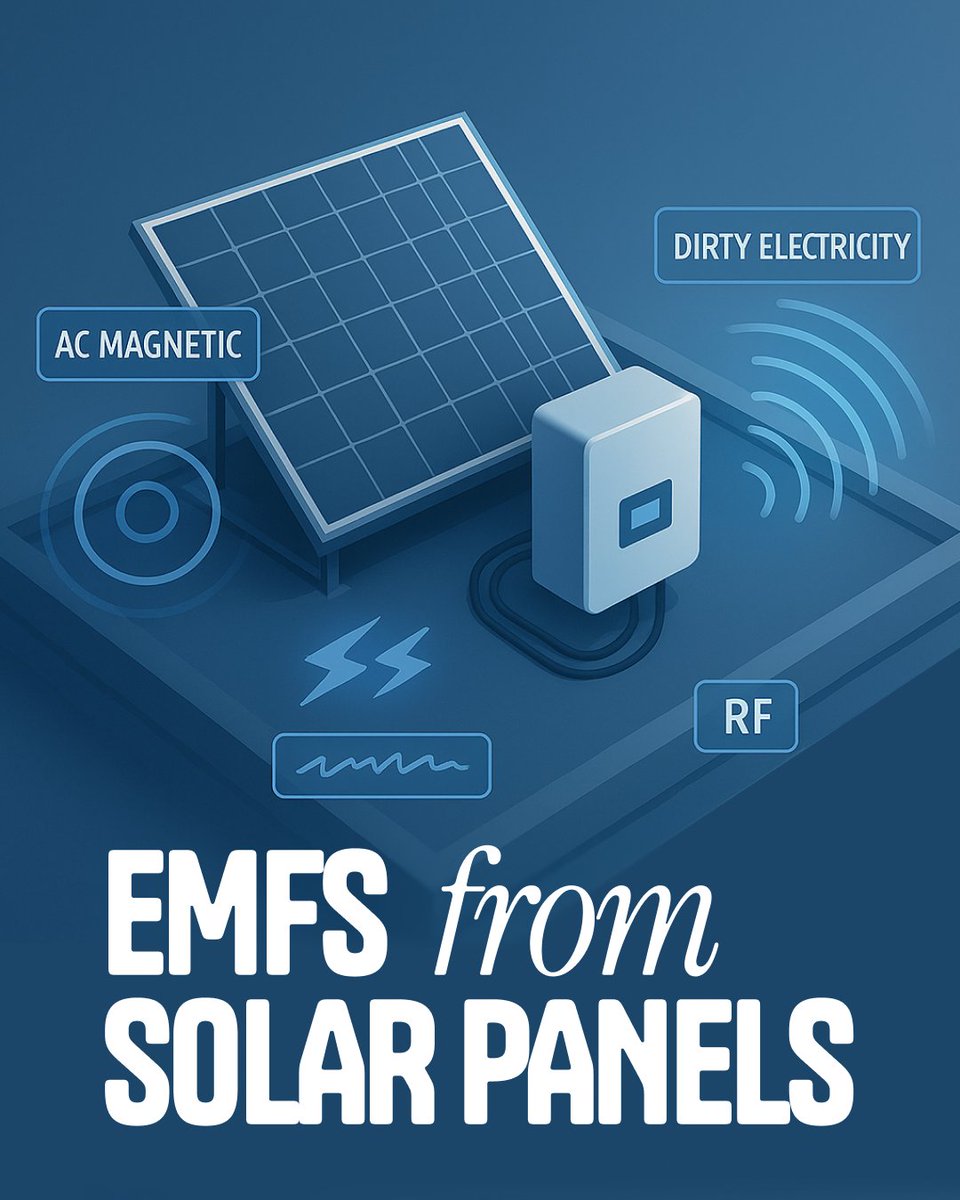 Rusty ⚡️: Solar Powered ☀️ tweet media