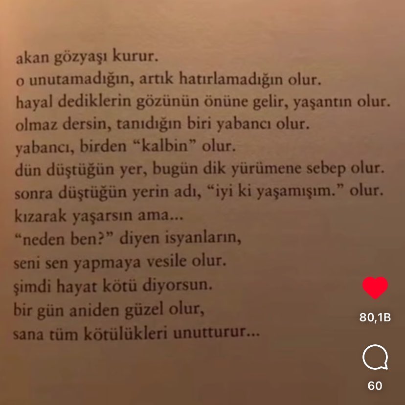 Gizem tweet media