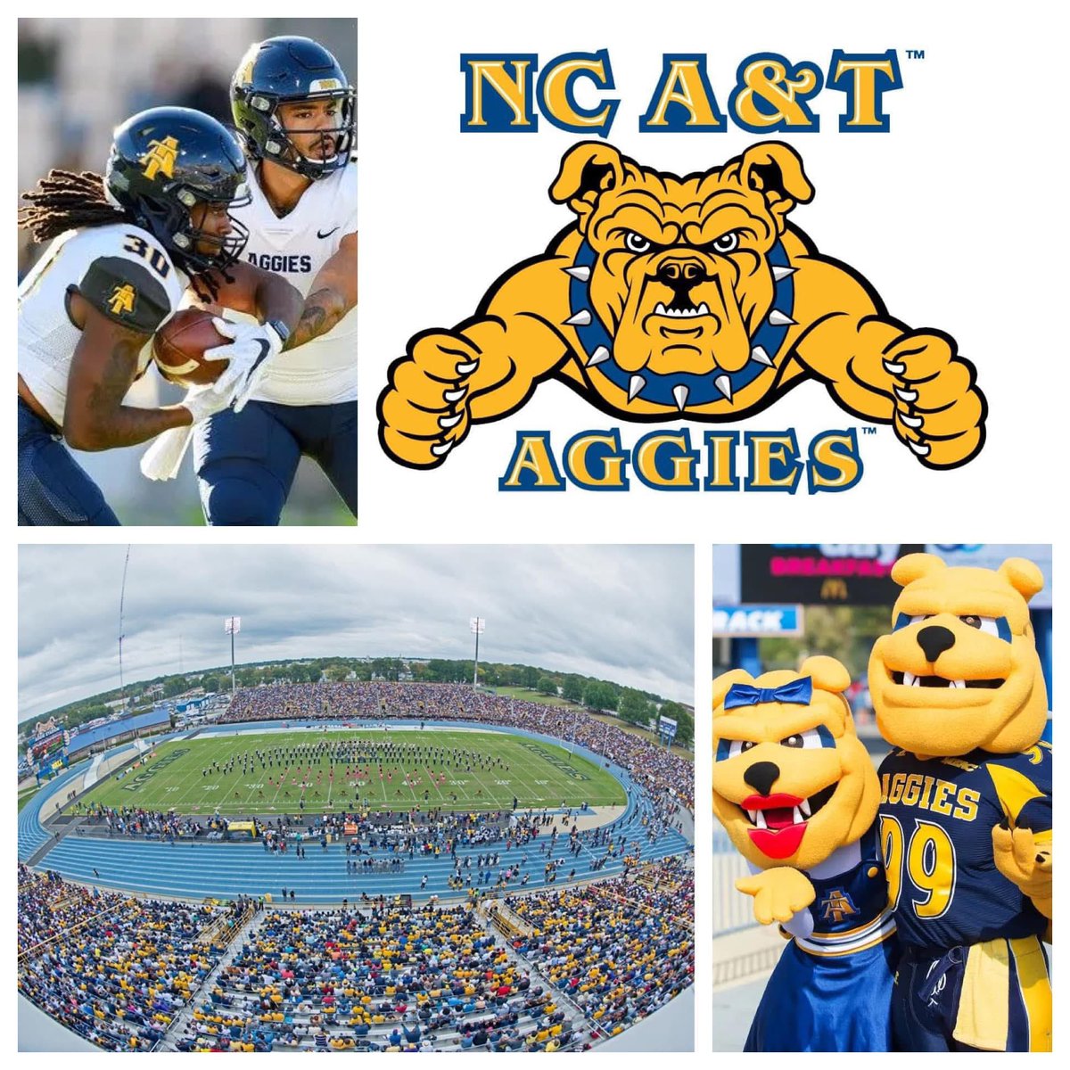 FCSFansNation's tweet photo. Our 30th team of our 129 FCS Teams in 129 days, leading us up to the 2025 FCS Kickoff is @NCATFootball 

(All info for HBCU schools and Ivy League is historical from these programs existence to now)

Team - North Carolina A&T Aggies
Head Coach - Shawn Gibbs
2024 Record - 1-11
School - North Carolina Agricultural and Technical State University
Enrollment - 14,331
Endowment - $202 Million
Location - Greensboro, North Carolina
Stadium - Truist Stadium
Capacity - 21,500
Conference - Coastal Athletic Conference
Mascot - Aggie the Bulldog
Band - The North Carolina A&T State University Blue and Gold Marching Machine
Fight Song - “Aggie Fight Song" & “Old Aggie Spirit"
Colors - Blue and Gold 
FCS Timeframe - 1978 to Present 

Conference Titles - 16
5 Central Intercollegiate Athletic Association Titles
1927, 1950, 1958, 1959, 1964
11 MEAC Titles 
1975, 1986, 1991, 1992, 1999, 2003, 2014, 2015, 2017, 2018, 2019

HBCU National Championships - 8
1951, 1968, 1990, 1999, 2015, 2017, 2018, 2019
Historical Bowl Victories - 7 
2 Flower, 1 Vulcan, 1 Orange Blossom, 2 Gold & 1 Heritage 
Celebration Bowl Victory’s - 4
2015, 2017, 2018, 2019 🏆🏆🏆🏆

Playoff Appearances - 5 (1-5 Record)
1986 
- Quarterfinals L Georgia Southern 52-21
1992 
- First Round L The Citadel 44-0
1999 
- First Round W Tennessee State 24-10 
- Quarterfinal L Youngstown State 41-3
2003 
- First Round L Wofford 31-0
2016 
- First Round L Richmond 39-10

National Championships - 0

Team/School Fun Fact - The number 3 might just define NC A&Ts success. 

NC A&T will competed in 3 different conferences over 4 seasons due to realignment. The MEAC in 2020, the Big South in 2021/2022, and the CAA since 2023.

NC A&T had a player taken in the NFL Draft in 3 straight seasons from 2017 to 2019. 
Tarik Cohen: 2017 - RB Round 4 Pick 12. Brandon Parker: 2018 - OL Round 3 Pick 1. Darryl Johnson Jr.: 2019 - DE Round 7 Pick 11.

NC A&T defeated an FBS opponent in 3 straight years. Kent State in 2016, Charlotte in 2017 and East Carolina in 2018. 

They also won 3 straight Celebration Bowls in 2017, 2018 & 2019. In total that half decade, winning 4 out of 5 from 2015-2019.