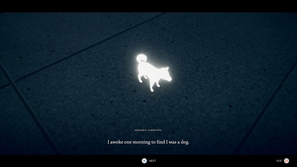 HUMANITY - 🎮 Available NOW tweet media