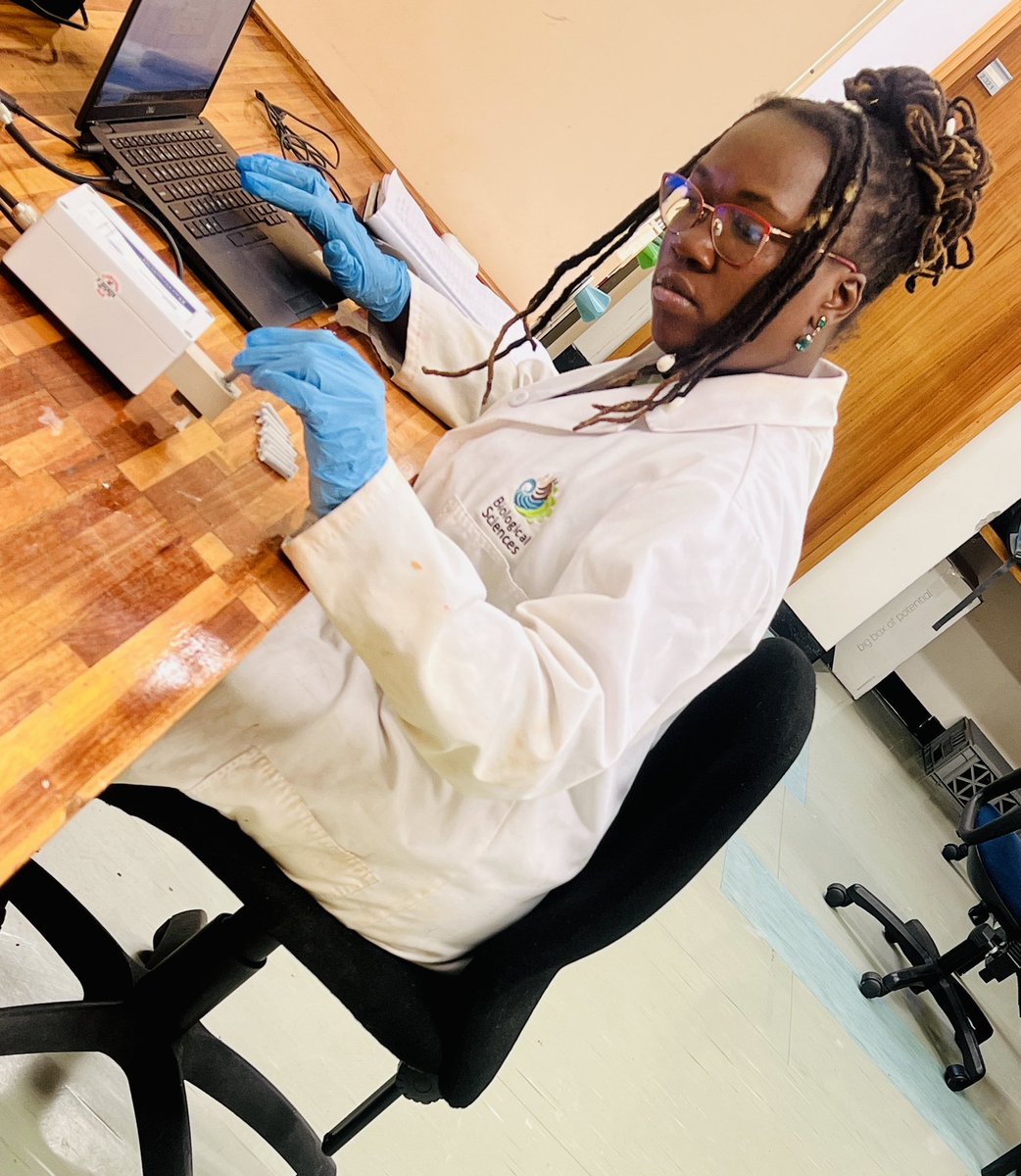 GloryOden tweet media