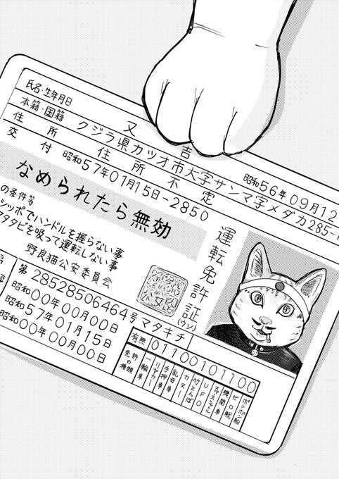 又吉の免許更新‼️ 