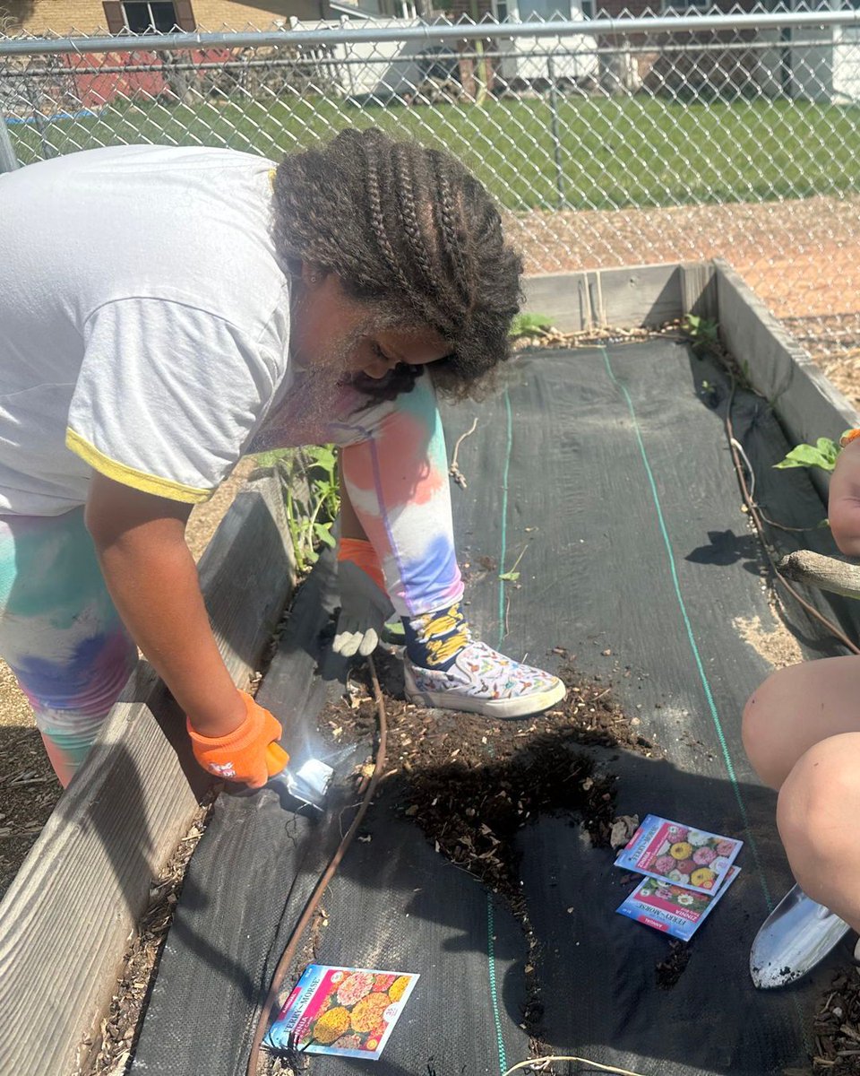 LongmontEstates's tweet image. Thank you to our Service Project Club for planting our school gardens. They had a great time! Please help yourself to produce from the garden this summer! #LEESoars @SVVSDsupt @BuchlerStVrain