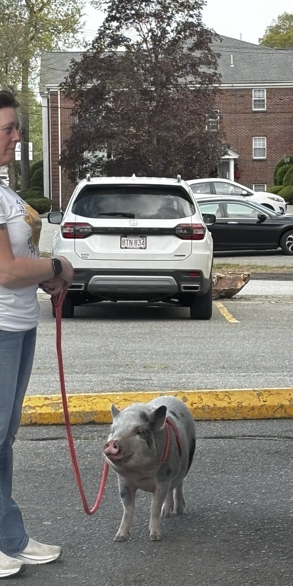 Today's Friday Night Byte (bite?)

anne-gardner.com/blog-bytes/a-p…