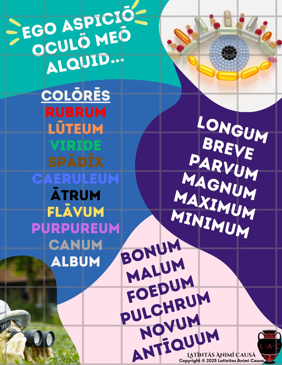 ****Aliquid Novi****

🗣️ Want your students to speak more Latin or Ancient Greek? Hand them an I-Spy card and send them on a scavenger hunt of speech. #livinglatin #livinggreek #teaching #learning 

Available NOW on: habesnelac.com/paid-downloada…