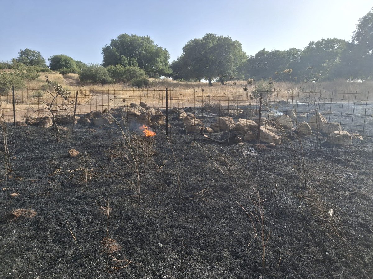 אנשי השומר החדש ושומר היער נלחמים בשעה זו יחד עם צוותי כיבוי אש בשני מוקדי אש : סמוך ליער מורן בדרום וסמוך לציפורי שבגליל התחתון. בשומר החדש נערכו עוד לפני סופ״ש לקראת החום הכבד עם מרססי כיבוי , מתנדבים , תצפיתנים והסרת סיכונים בשטחי היערות.