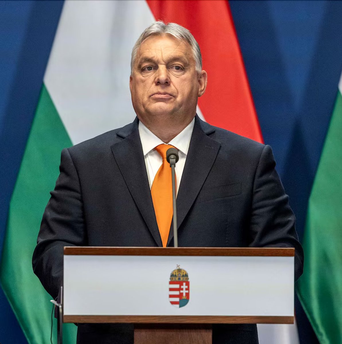 HungaryBased's tweet photo. 🇭🇺 Hungary's 'Sovereignty Law' was Passed!

This will allow Soros NGOs, and Globalist Influence to be Kicked Out Legally. https://t.co/9JWMKwQZ84