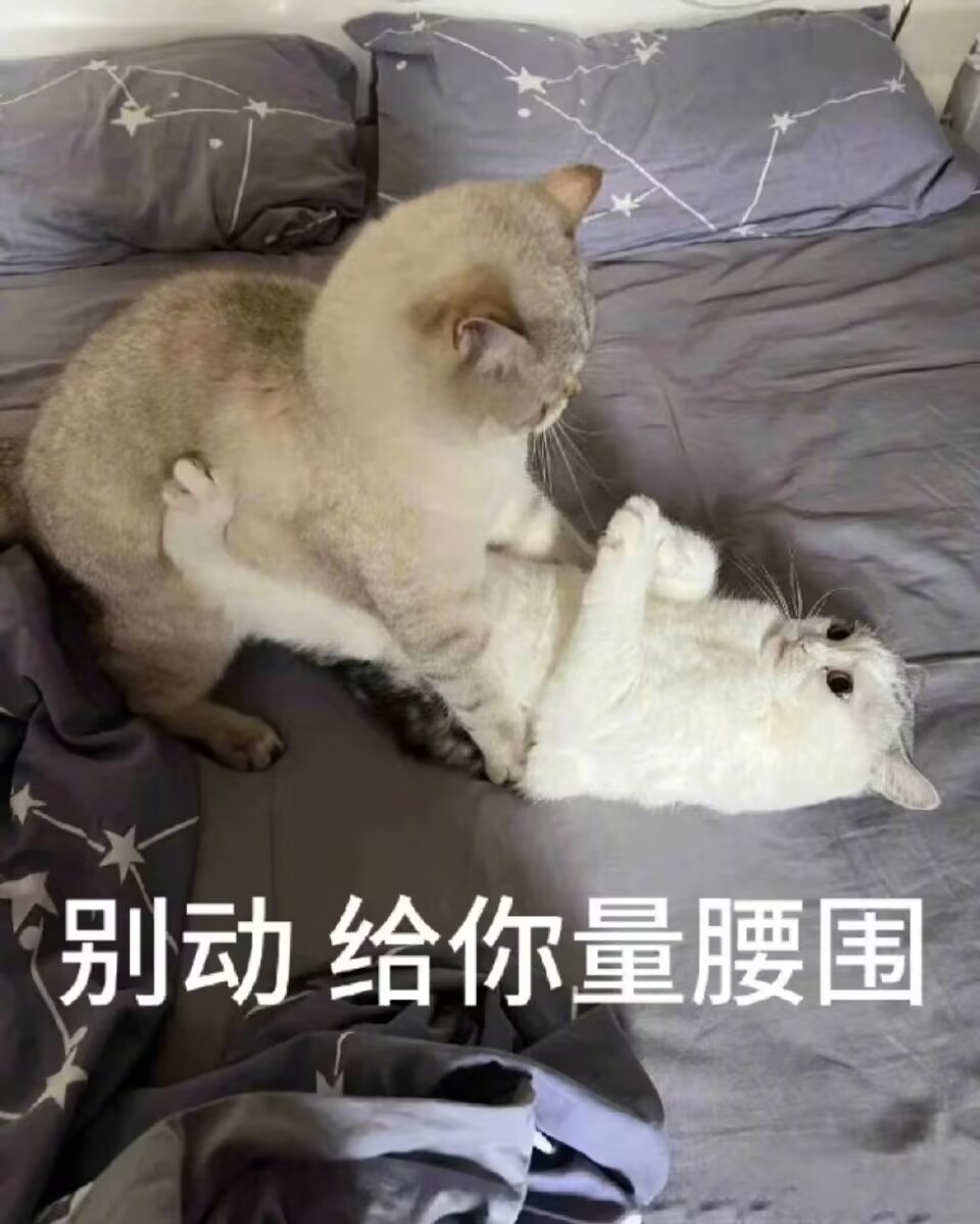 QinMeow4534's tweet photo. @WWFFSSCC 你的腹肌看起来好冷，建议来我被窝我帮你暖暖 https://t.co/m3p4ns8mYO