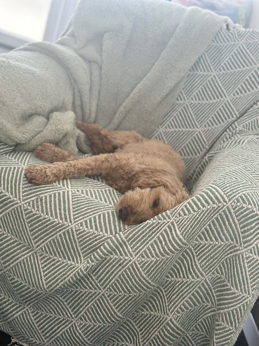 My assistant doesn’t appear to be doing much work today…