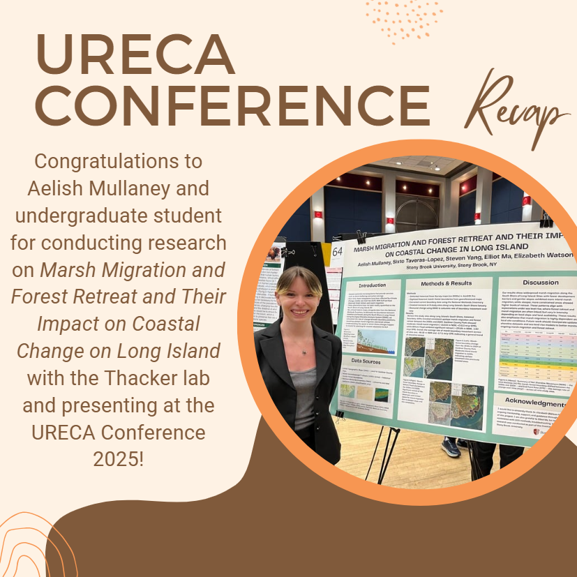 Congratulations to Aelish Mullaney and the Thacker Lab team for presenting their impactful study on Marsh Migration and Forest Retreat and Their Impact on Coastal Change on Long Island at the URECA Conference 2025! #UndergraduateResearch