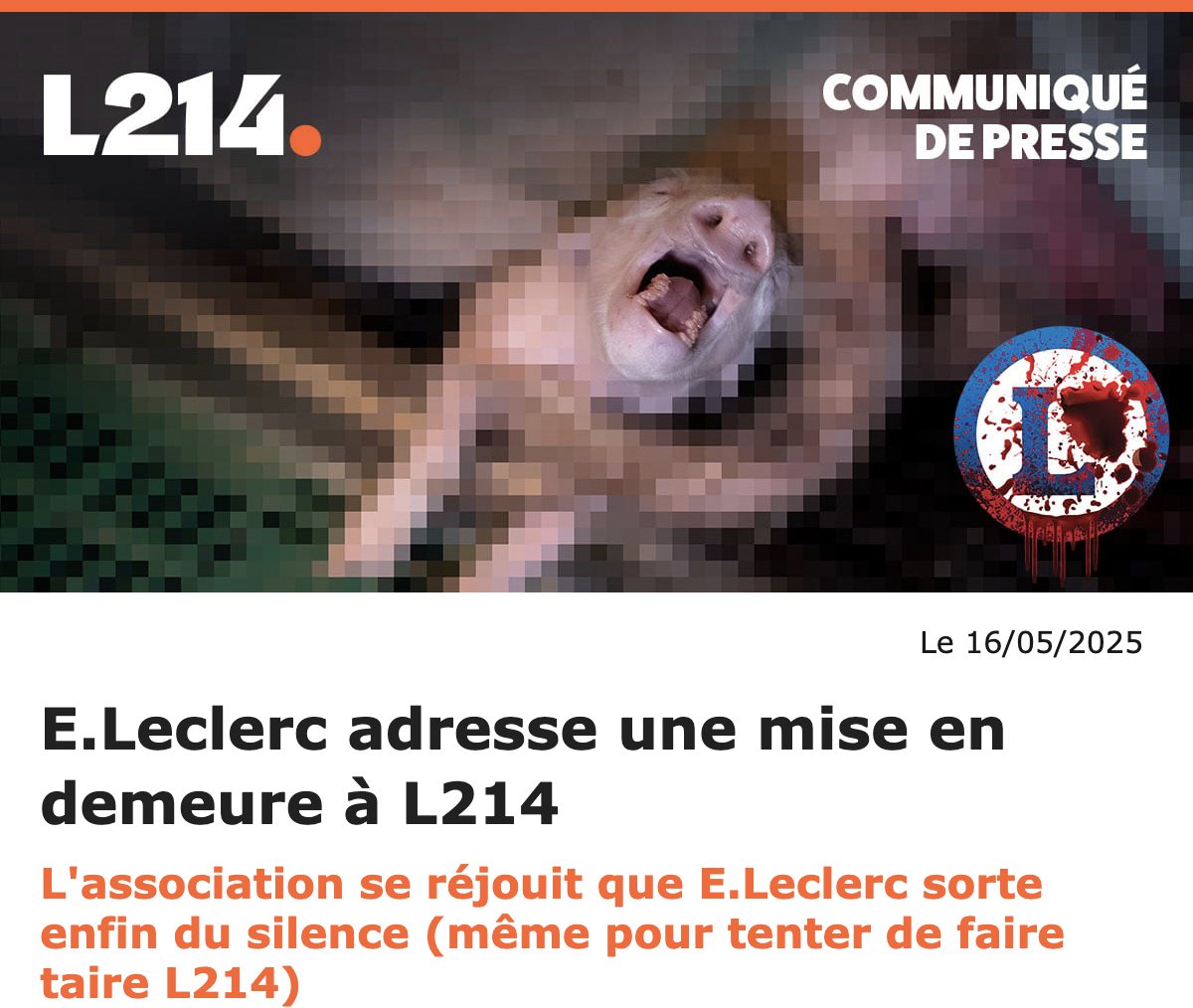 L214 éthique & animaux (@l214) on Twitter photo 🔴 On a (enfin) une réponse de <a href="/Leclerc/">E.Leclerc</a>!
Vous imaginez un engagement? Détrompez-vous, l'enseigne nous menace avec une mise en demeure 🤯
<a href="/Leclerc_MEL/">Michel-Edouard Leclerc</a>: nous ne plierons pas et continuerons à alerter les consommateurs sur les conditions d'élevage des cochons de vos fournisseurs! 🔴 On a (enfin) une réponse de <a href="/Leclerc/">E.Leclerc</a>!
Vous imaginez un engagement? Détrompez-vous, l'enseigne nous menace avec une mise en demeure 🤯
<a href="/Leclerc_MEL/">Michel-Edouard Leclerc</a>: nous ne plierons pas et continuerons à alerter les consommateurs sur les conditions d'élevage des cochons de vos fournisseurs!