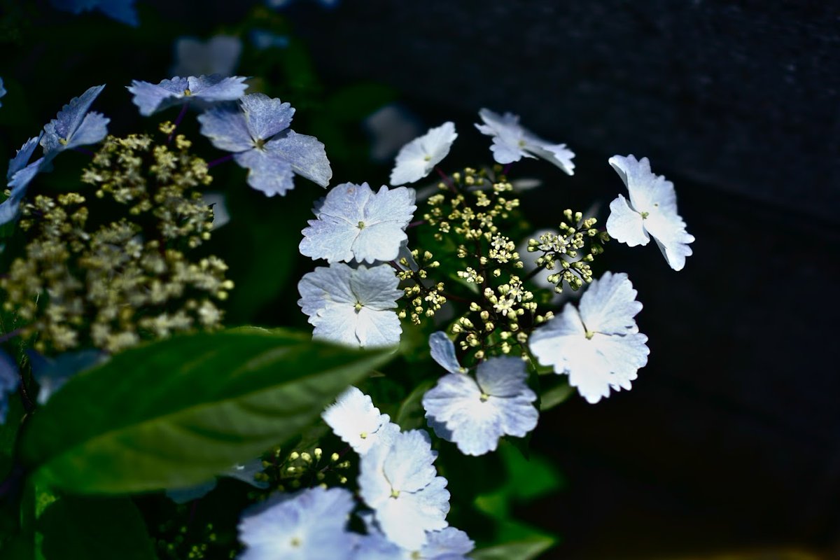 割り切れない感情を抱きしめて、そのままで歩いていきましょうね。