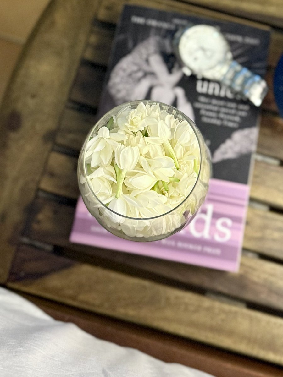 annaverbee's tweet photo. The next Dili Reading Group meeting is on Sunday, 25 May, at 3 PM at a location in VK, DM me for details 
All people and all texts are welcome. Come talk about whatever you are reading, or just listen to others talking about what they are reading and a lot else. https://t.co/HM6o52yV6y