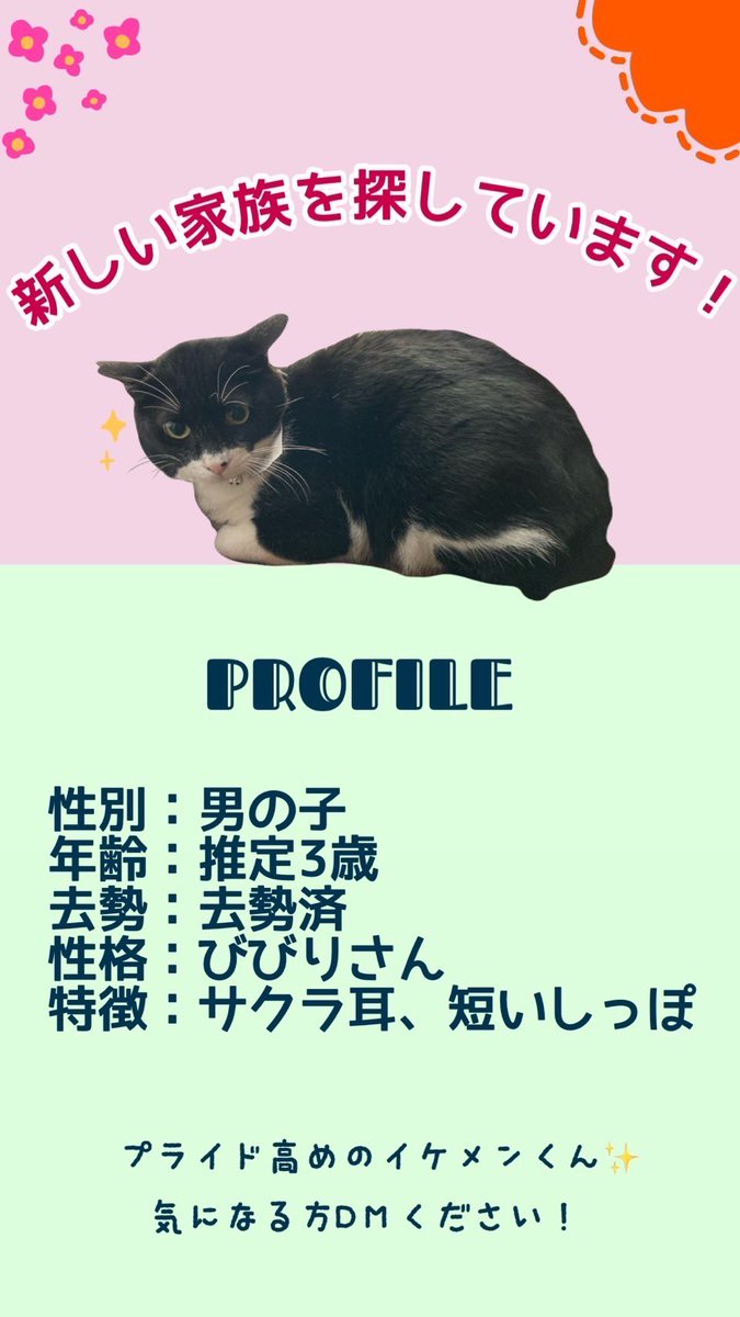 Super7BDR1600's tweet photo. https://t.co/BL2FPadqcX
