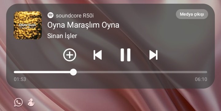 ne dinledigimi asla tahmin edemezler