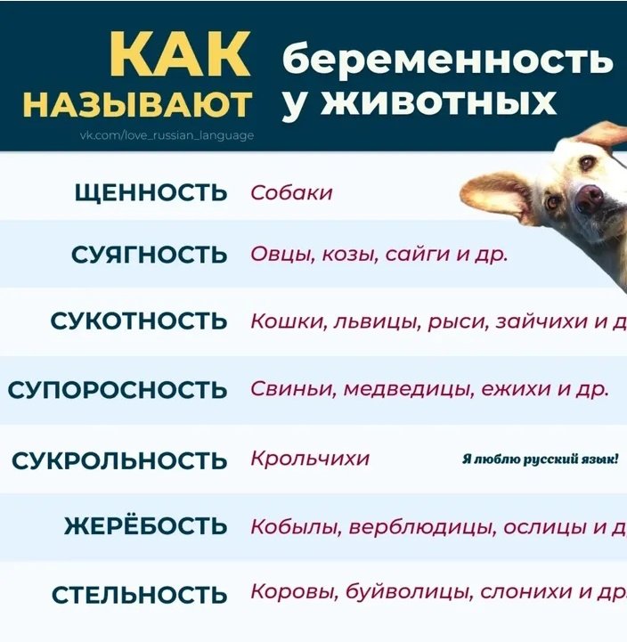 <a href="/keyi_vl/">Key I</a> Вы ей еще это покажите