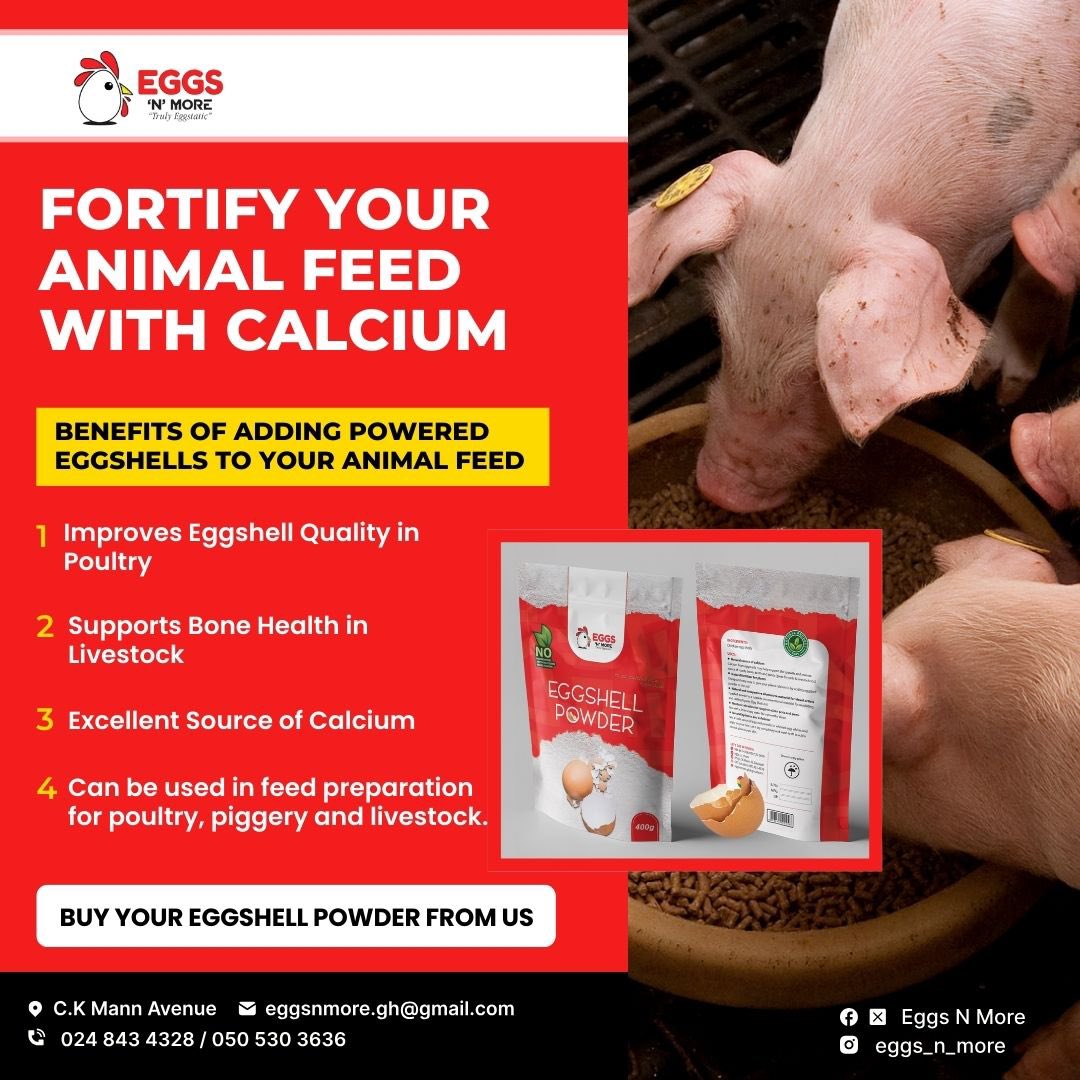 eggs_n_more's tweet photo. Calcium is a key mineral you just incorporate in your feed preparation for your farm animals.

@eggs_n_more has got you covered with our specially prepared powdered egg shells that contain the highest calcium content.

#piggery #eggshells #farm #farmfeed #eggsnmore #trending https://t.co/FLjjcjZg97