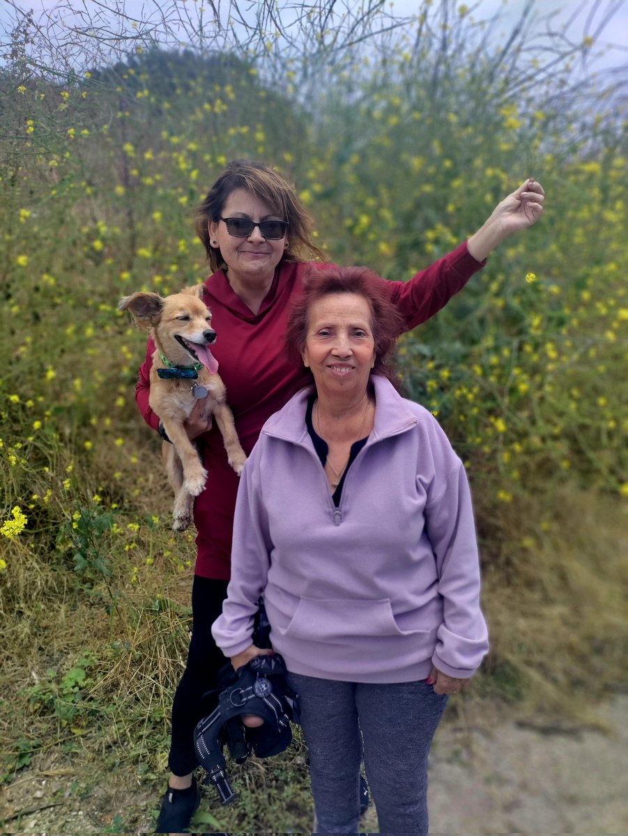 teri1372's tweet photo. Happy Friday Universe #mamacarmen and I Enjoy our walks before the summer hits. It becomes harder to keep her hydrated as she thinks she's had plenty. We blame #dementia for it.
#letsfindacure https://t.co/23bxp3JGVh