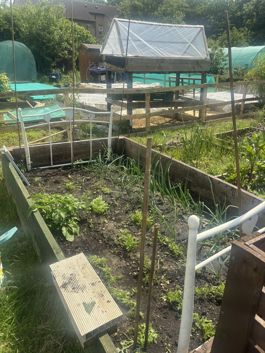 The Cavell Therapy Team tweet media