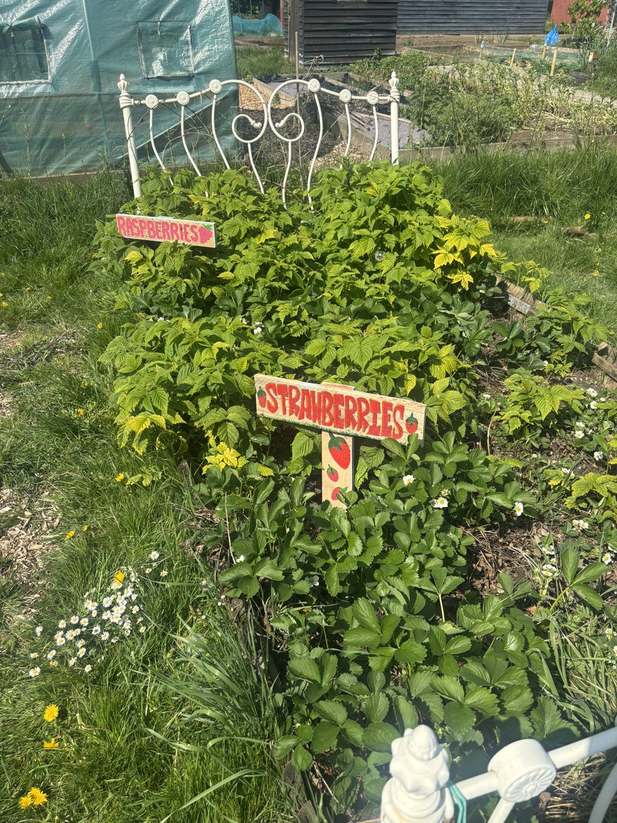 The Cavell Therapy Team tweet media