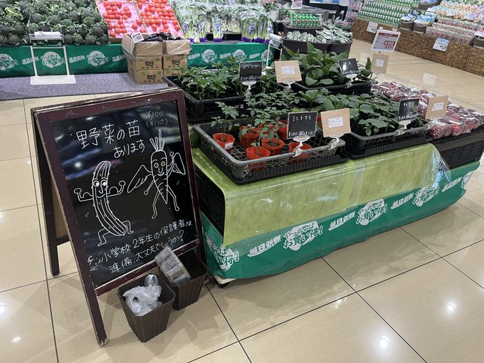 東大判定bot (@toudaihantei) on Twitter photo 