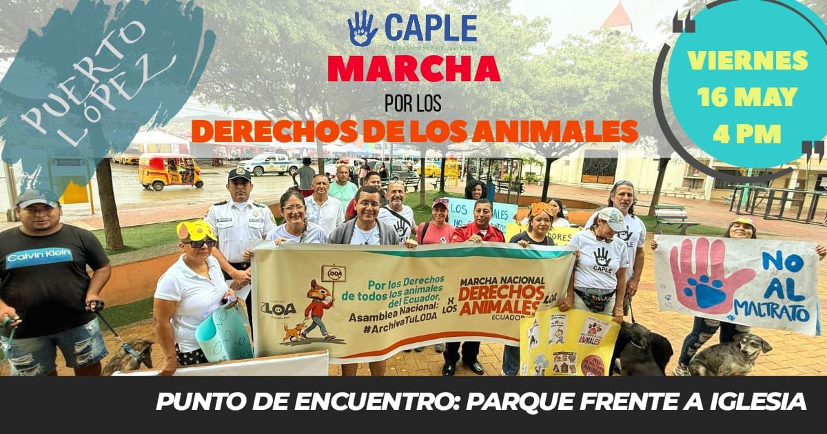 Atención #PuertoLopez 
#ArchivaTuLODA