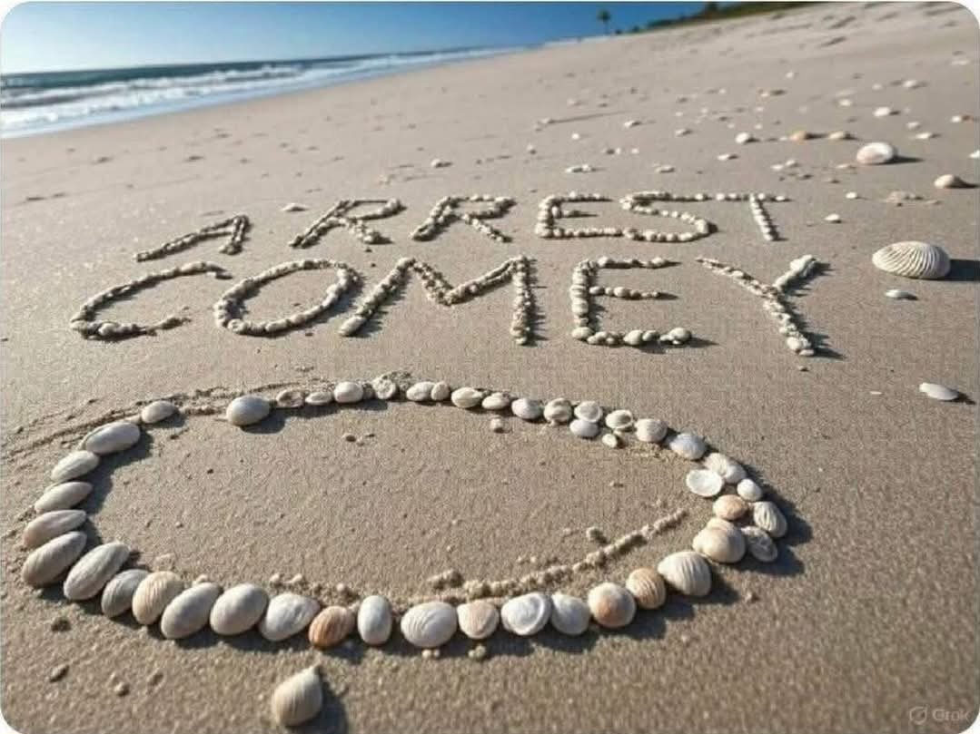 revsean68's tweet image. I support the shell artwork! #lockhimup #JamesComey @DC_Draino @seanhannity @JesseBWatters @kilmeade