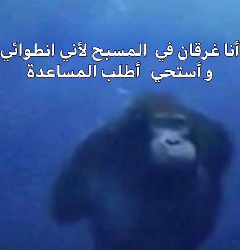 abdulrahman (@malbumut) on Twitter photo 