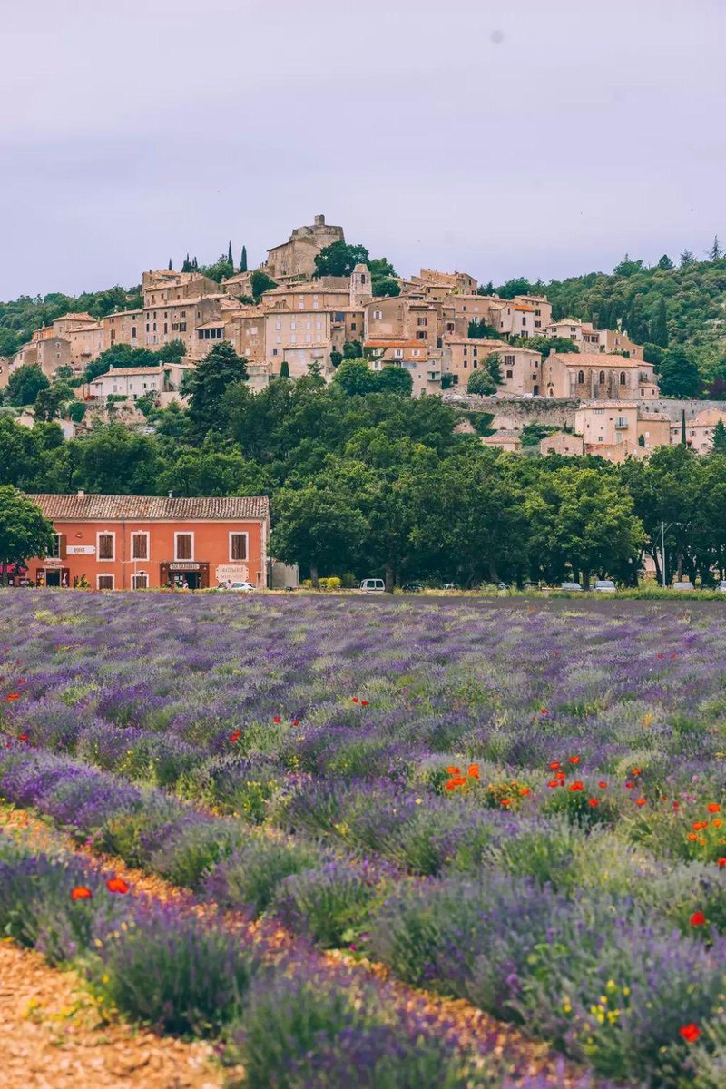 CerfiaFR's tweet photo. 🇫🇷 DÉBAT | Quelle est, selon vous, la plus belle ville de France ?

Envoyez-nous vos plus beaux clichés ! 📸 https://t.co/gzlBxPYtFo