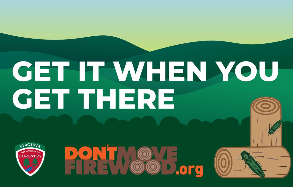 Going camping soon? 🏕️ Be sure to buy or harvest firewood at your destination. This avoids the accidental transportation and spread of invasive pests hiding in firewood. 🪵🚫🪲 Buy firewood at your campground or find nearby sellers using FirewoodScout.org.