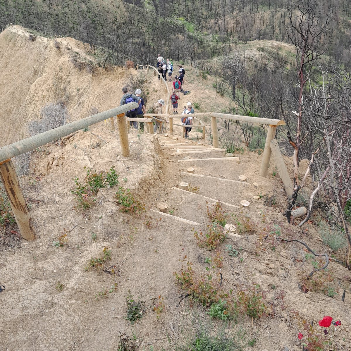 Goslingpress's tweet image. Good to see the work to replace the steps and handrails on Rhodedendren ridge progress so well since the fire 6 months ago
Respect to @ismailkasdemir & @TarihiAlan for the swift action.