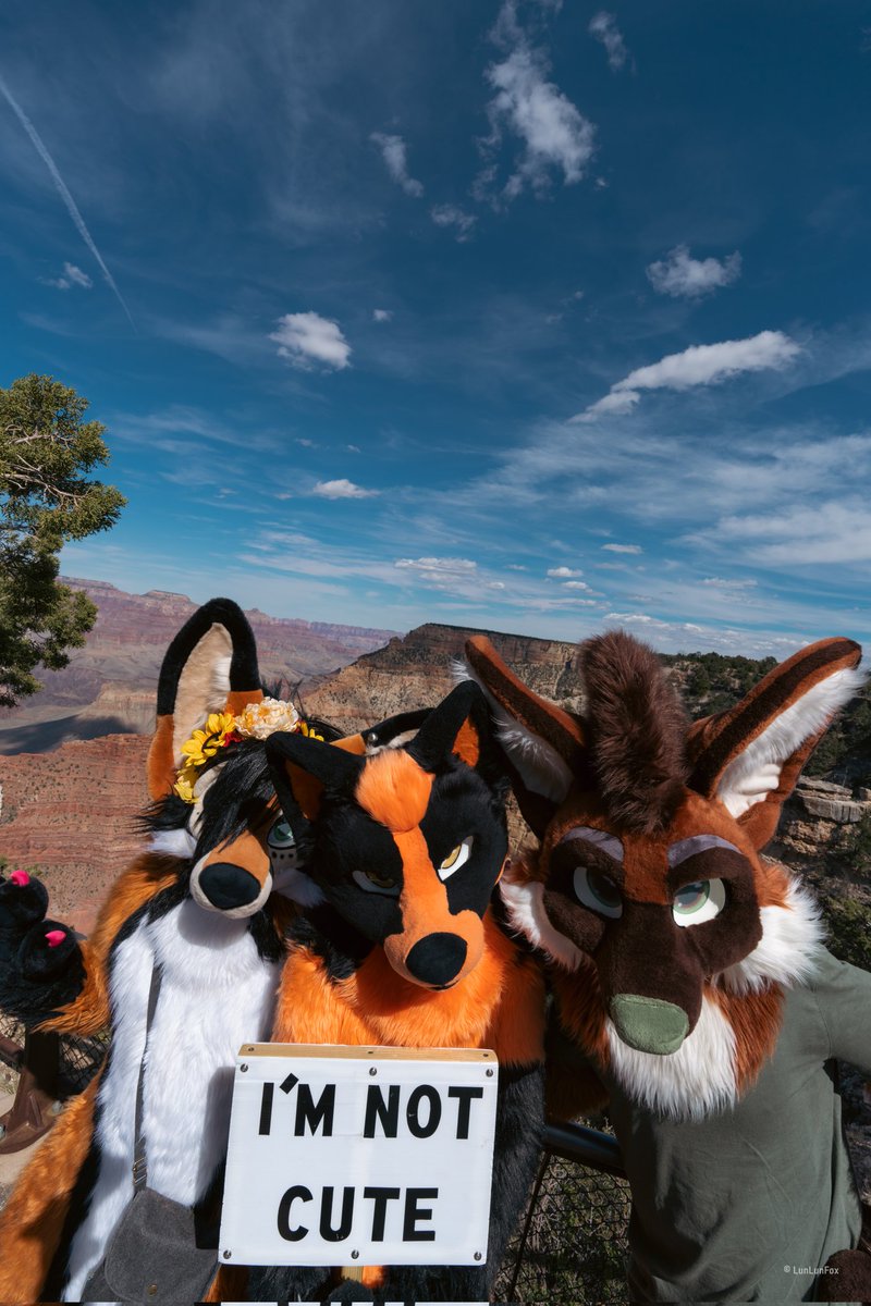 CommandoDJ's tweet image. Wow, it's been that long already.
A month ago, LVFC was a blast I had an amazing time with friends, and we even went to the Grand Canyon after, it was a blast. 
I want to go on more adventures like that.