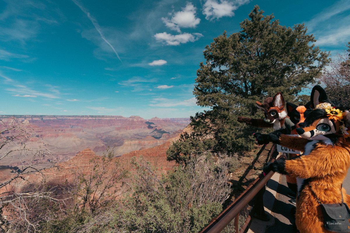 CommandoDJ's tweet image. Wow, it's been that long already.
A month ago, LVFC was a blast I had an amazing time with friends, and we even went to the Grand Canyon after, it was a blast. 
I want to go on more adventures like that.