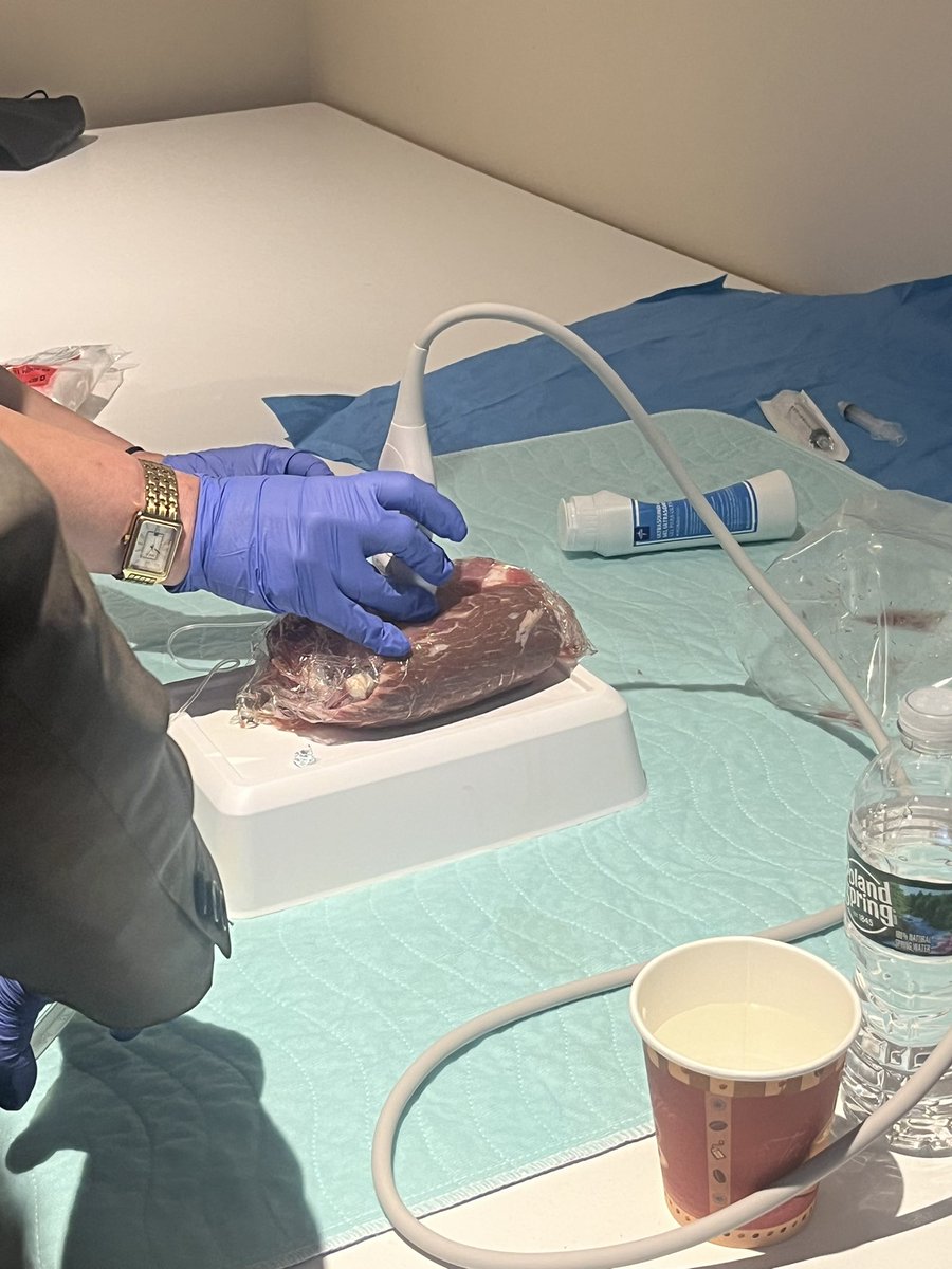 Rachel Levene Kubie tweet media